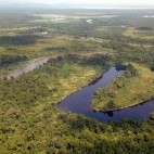 Aerial of the Sepik River in Papua New Guinea