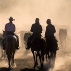 Outback ranchers in Queensland, Australia.