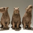 A trio of capybaras.