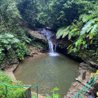 Clear water pool at Asa Wright Nature Centre in Trinidad & Tobago