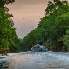 Boat trip through Caroni Swamp, Trinidad
