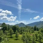 Tara Canyon in Montenegro.