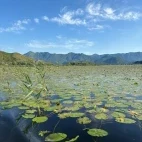 Lake Skadar in Montenegro.
