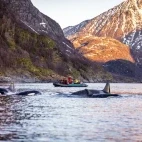Orca & Zodiac in Norway.