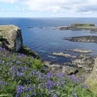 Scenery of Lunga in Scotland