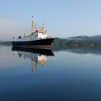 Seahorse II, Mull boat trips