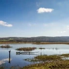 Leighton Moss Reserve in Lancashire