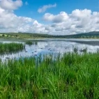 Leighton Moss in Lancashire