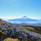 View of Pico from Faial in the Azores