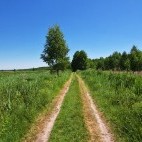 Belovezhskaya Pushcha National Park, Belarus