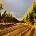 Lahemaa National Park in Estonia.