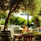 Olive garden terrace at Mediterraneo Hotel in Crete, Greece