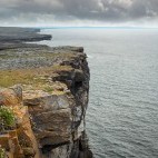 Wildflowers growing on a cliff in the Aran Islands, Ireland