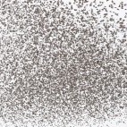 Mixed wader flock in Westhoek, the Netherlands.