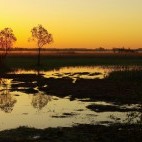Sunset in Biebrza Marshes, Poland.