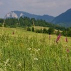 Pieniny Mountains in Poland.