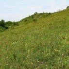 Ponidzie landscape in Poland.