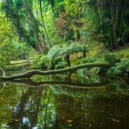 Terra Nostra Botanical Garden in São Miguel, Azores