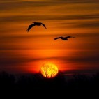 Sunset in the Danube Delta, Romania.