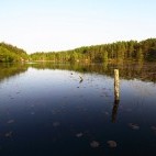 Grounds of Aigas Field Centre in Scotland