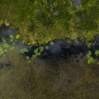 Aerial of Aigas Loch in Scotland.