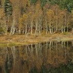 Aigas loch in Scotland.