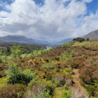 Glen Affric viewpoint in Scotland.