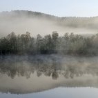 Misty landscape of Aigas in Scotland.