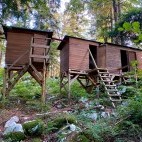 Bear hides in Slovenia.