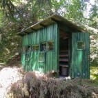 Bear photography hide in Slovenia