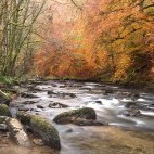 River Barle in Exmoor National Park, UK