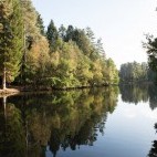 Mallard's Pike Lake in the Forest of Dean