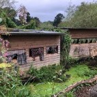 Kingfisher hide in Hampshire, UK.