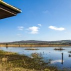 Leighton Moss RSPB Reserve in Lancashire