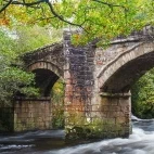 Newbridge & River Dart in Devon