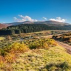 College Valley in Northumberland