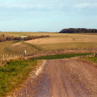 Salisbury Plain in the UK.