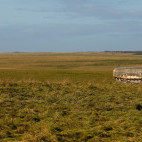 Salisbury Plain in the UK.