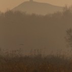 Glastonbury Tor