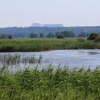 Minsmere Nature Reserve in Suffolk
