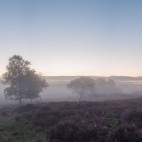 Minsmere Nature Reserve in Suffolk, England