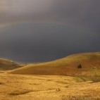 Elan Valley landscape in Wales.