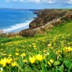 Scenery near The Druidstone Hotel in Wales