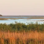 Ibera Wetlands in Argentina