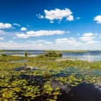 Ibera Wetlands in Argentina