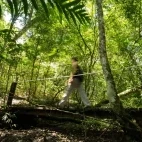 Forest trail at Awasi Iguazú in Argentina