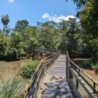Boardwalk in Circuito Superior, Iguazu Falls, Argentina