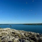 Low tide at Puerto Deseado in Argentina