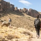 Walker in Parque Patagonia, Argentina.