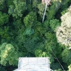 View from the canopy tower at Cristalino Lodge, Brazil.